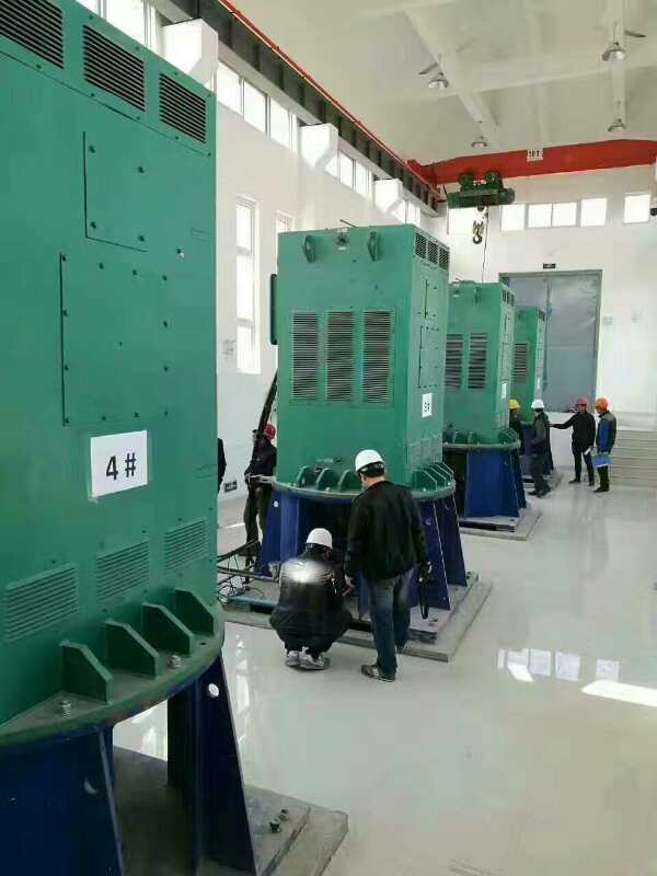 潜江经济开发区某污水处理厂使用我厂的立式高压电机安装现场